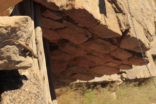 469 9ck. Lowry Pueblo - lizard