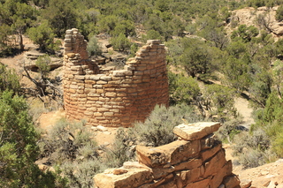 486 9ck. Cutthroat Castle