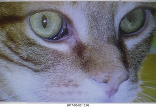 new camera -  Max's eyes from picture
