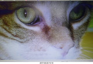 new camera -  Max's eyes from picture