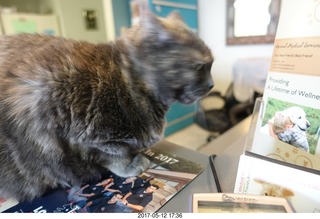 Krista Gibson, DVM, and Penny - (cat)