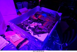 Brenda birthday party - what's left of the cake