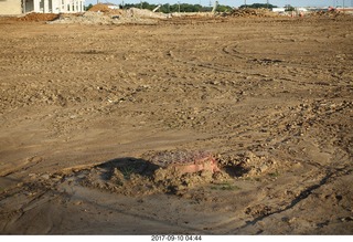 Northeast Philadelphia - Roosevelt Boulevard - old Nabisco / Kraft factory being torn down - tree stumps