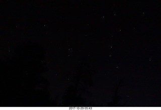 plant and star chart for eclipse