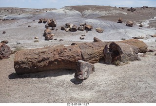 213 a03. Petrified Forest National Park - Crystal Forest hike + petrified logs