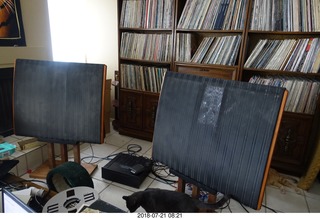 Quad ESL speakers and Evelyn - (cat)