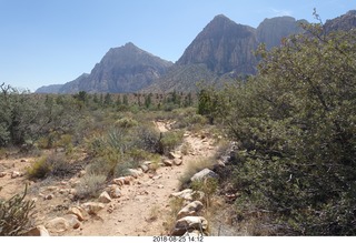 Las Vegas - Red Rock Canyon - thirteen mile drive - Pine Creek Canyon - sign