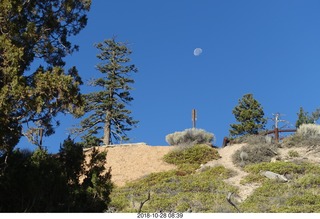 full moon