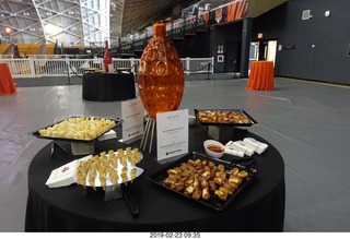 Princeton Alumni Day