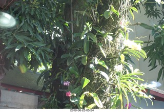 29 a0e. - Rio de Janeiro tour - Corcovado Mountain - Jesus Christ the Redeemer statue