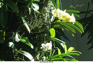 30 a0e. - Rio de Janeiro tour - Corcovado Mountain - Jesus Christ the Redeemer statue