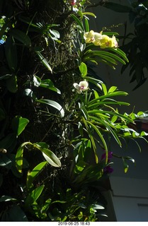 34 a0e. - Rio de Janeiro tour - Corcovado Mountain - Jesus Christ the Redeemer statue