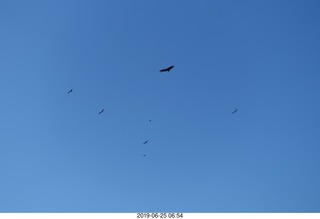 80 a0e. - Rio de Janeiro tour - Corcovado Mountain - Jesus Christ the Redeemer statue * - condors