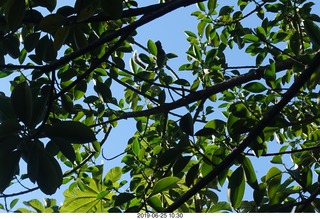 189 a0e. - Rio de Janeiro tour - Sugarloaf Mountain