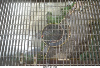 239 a0e. Iguazu Falls