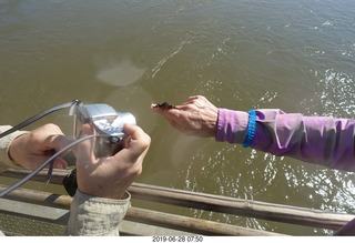 207 a0e. Iguazu Falls - Devil's Throat - butterfly