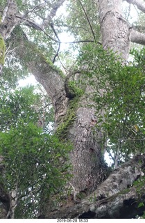 321 a0e. Iguazu Falls drive to boat