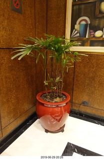 45 a0e. Buenos Aires