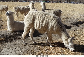 148 a0f. eclipse site