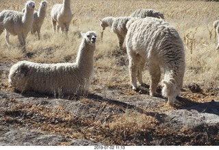 151 a0f. eclipse site