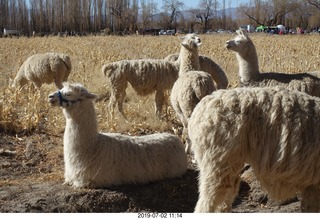 152 a0f. eclipse site