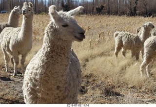 153 a0f. eclipse site