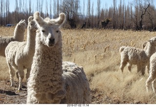 154 a0f. eclipse site