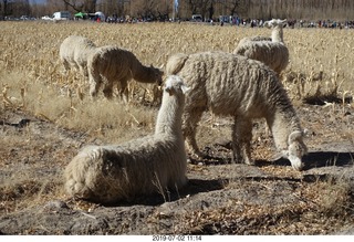 157 a0f. eclipse site