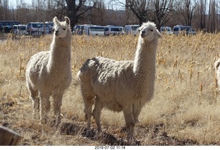 158 a0f. eclipse site