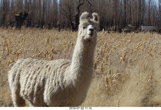 160 a0f. eclipse site