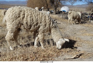 162 a0f. eclipse site