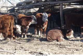 165 a0f. eclipse site