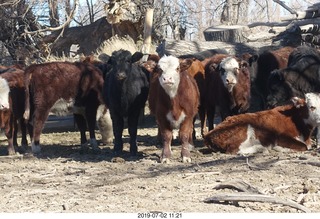 167 a0f. eclipse site