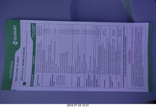 flight to Lima - customs card
