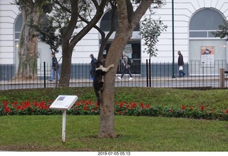 60 a0f. Peru - Lima run