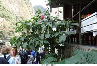 258 a0f. Peru - walk to bus