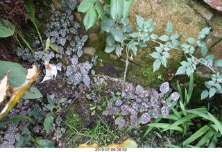 259 a0f. Peru - walk to bus