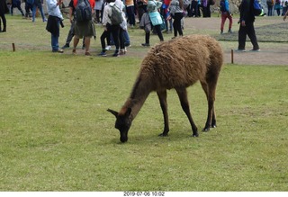301 a0f. Peru - Machu Picchu