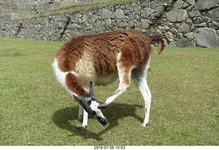 305 a0f. Peru - Machu Picchu