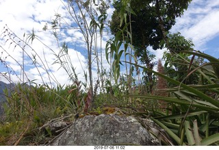 420 a0f. Peru - Machu Picchu