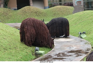40 a0f. Peru - Aranwa Sacred Valley hotel - dreadlock animals