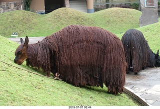 41 a0f. Peru - Aranwa Sacred Valley hotel - dreadlock animals