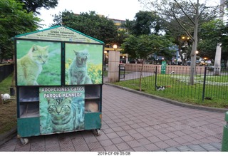 17 a0f. Peru - Lima - morning run  - cat care sign