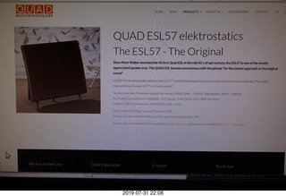 Quad ESL speakers and Evelyn (zoom) - (cat)