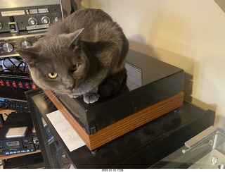 my cat Jane on my Linn turntable