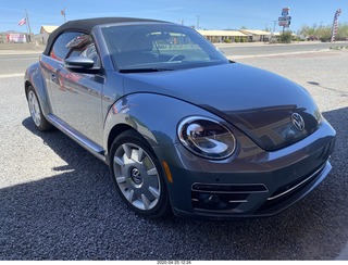 Seligman new VW beetle