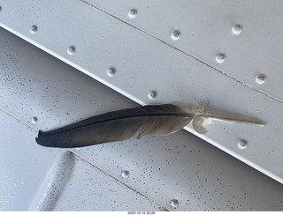 feather on my wing