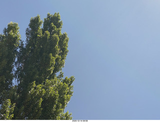 10 a0y. Argentina Eclipse Day