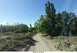 82 a0y. Argentina Eclipse Day - driving to the eclipse site