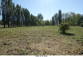 109 a0y. Argentina Eclipse Day